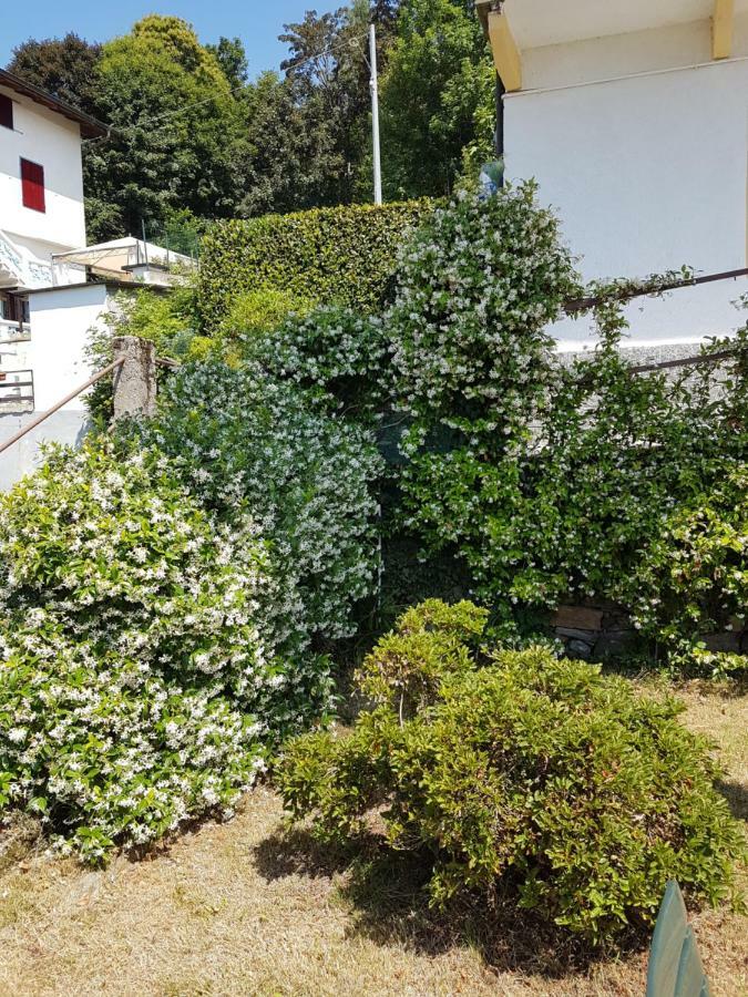 La Palma Βίλα Miazzina Εξωτερικό φωτογραφία